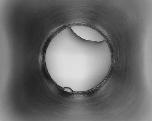 X0000100230636200805300725