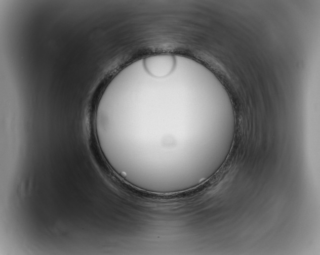 X0000100230638200805300725