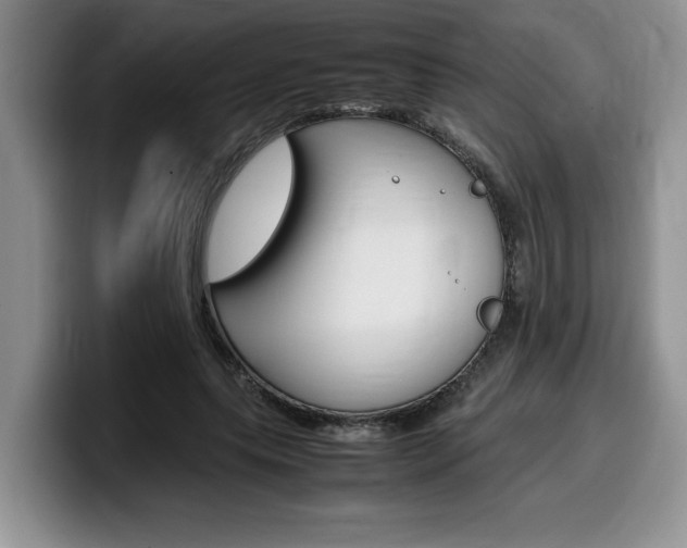 X0000100230639200805300725