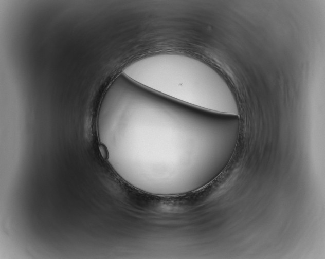 X0000100230641200805300725