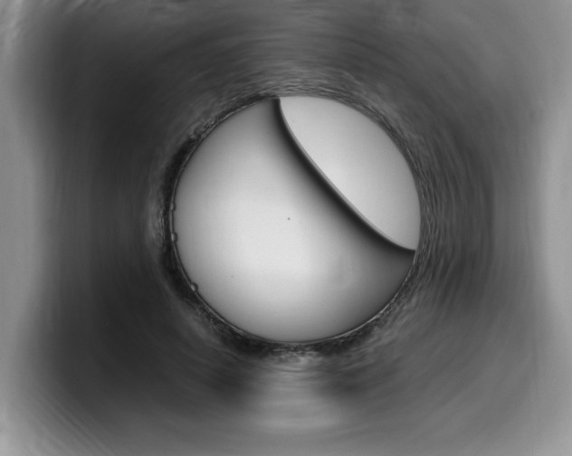 X0000100230642200805300726