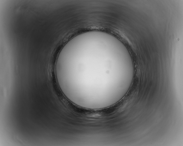 X0000100230643200805300726