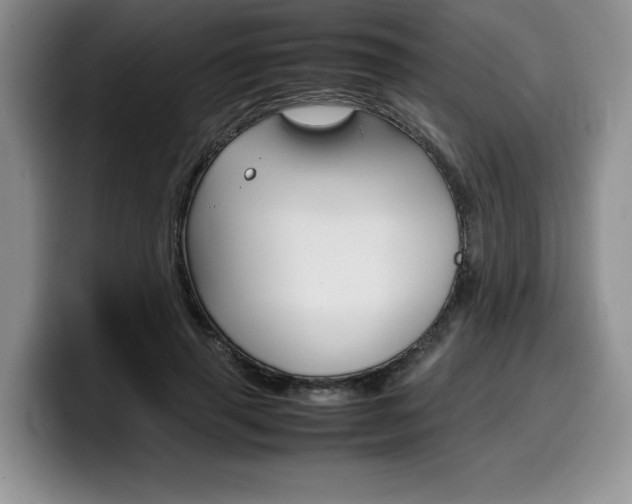 X0000100230645200805300726