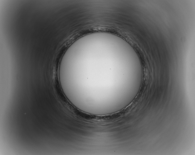 X0000100230648200805300726