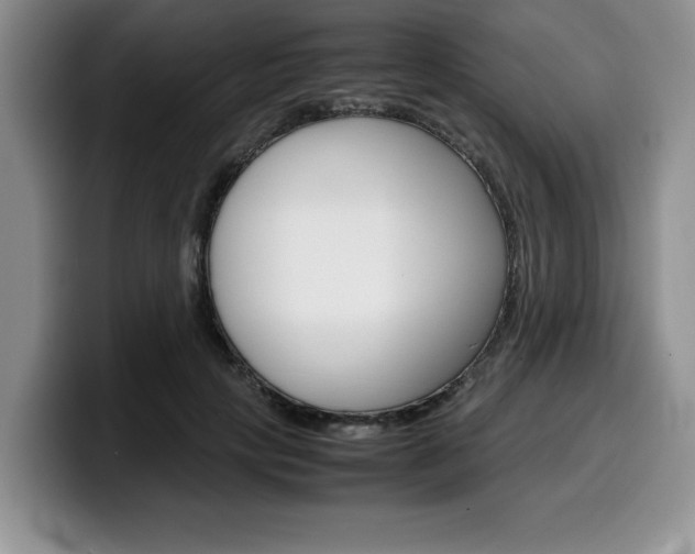 X0000100230649200805300726