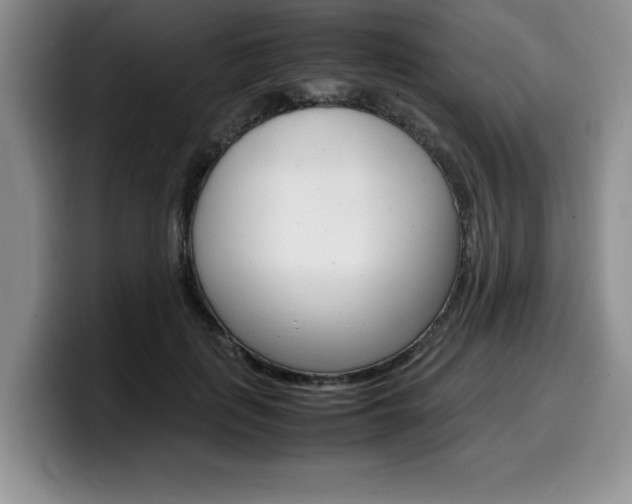 X0000100230651200805300726