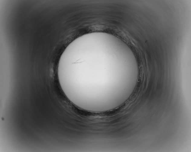 X0000100230655200805300726