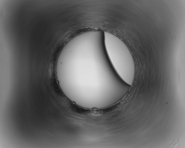 X0000100230656200805300726
