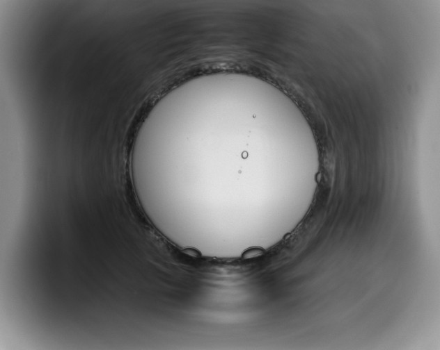 X0000100230657200805300726