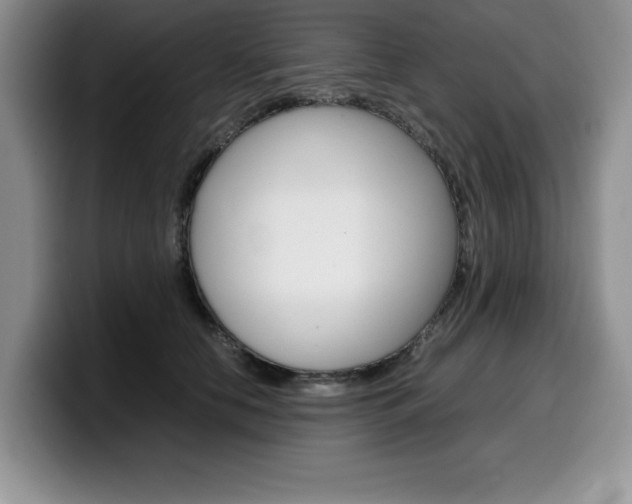 X0000100230658200805300726