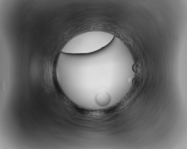 X0000100230659200805300726