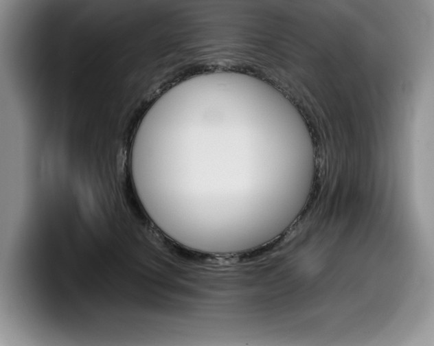 X0000100230660200805300726