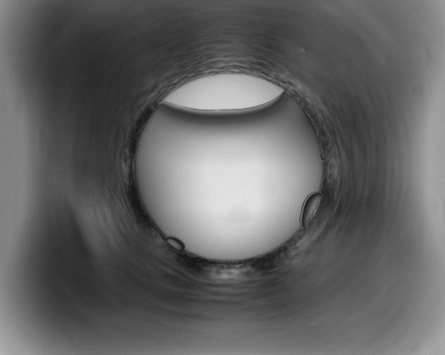 X0000100230661200805300726