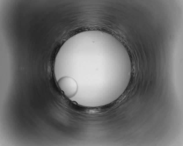 X0000100230662200805300726