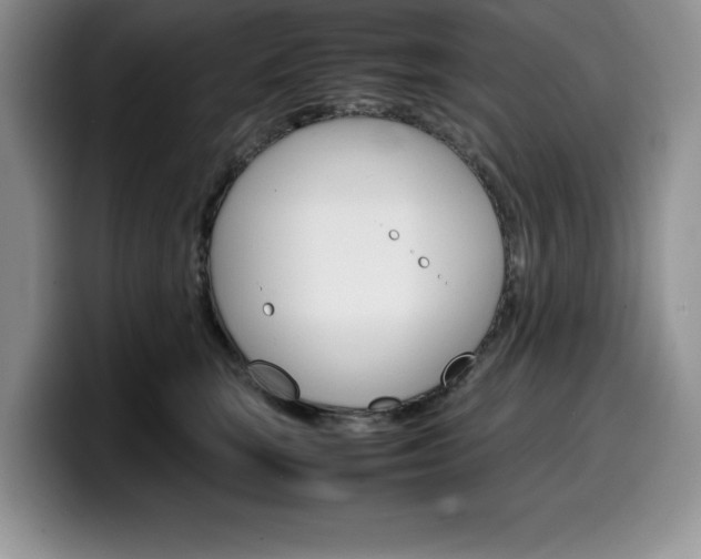 X0000100230663200805300726