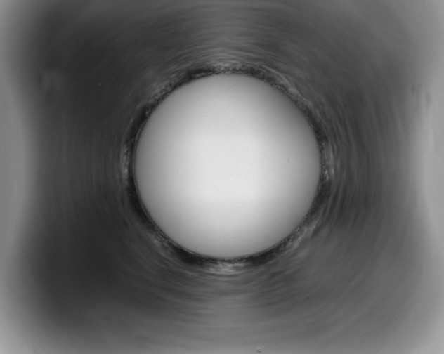 X0000100230664200805300726