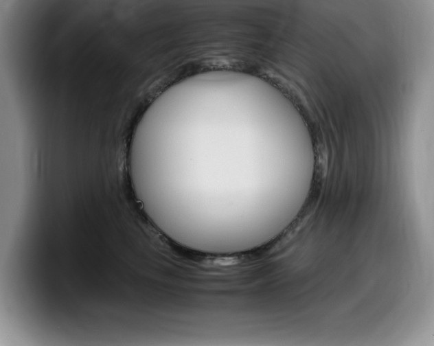 X0000100230665200805300726