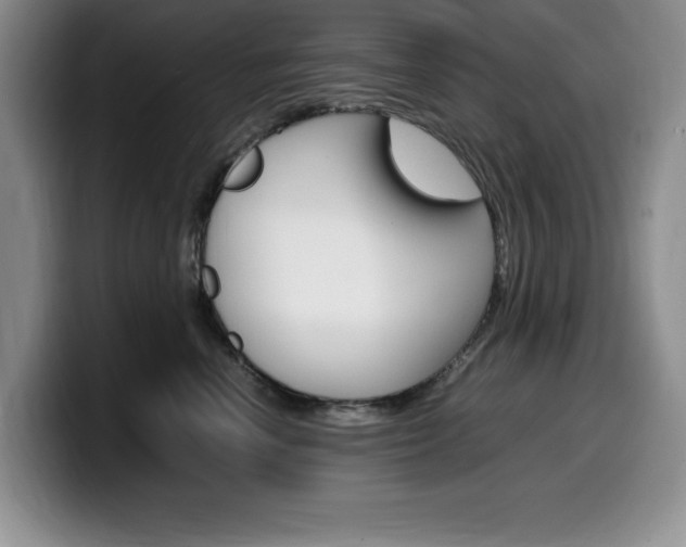 X0000100230666200805300726