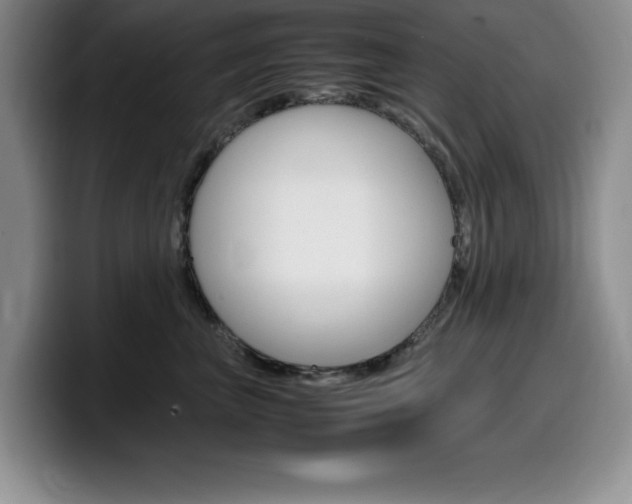 X0000100230667200805300726