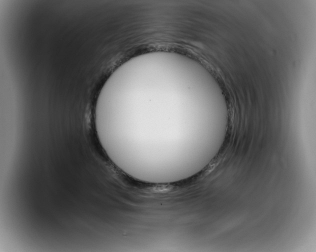 X0000100230668200805300726