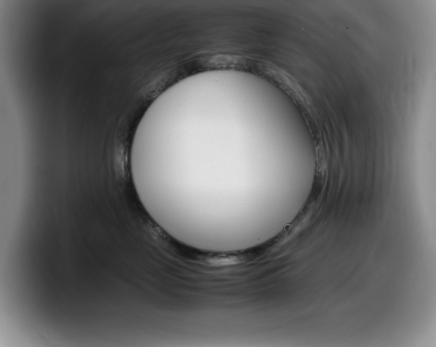 X0000100230669200805300726