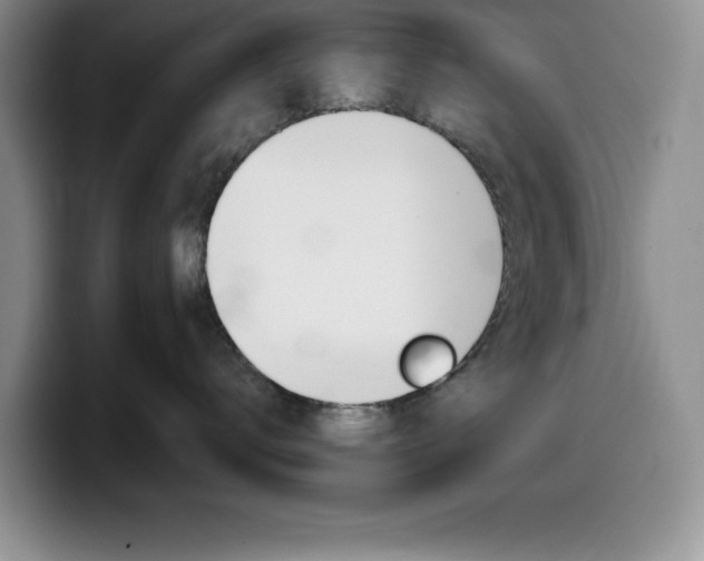 X0000100230672200805300726