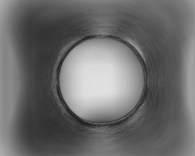 X0000100230673200805300725