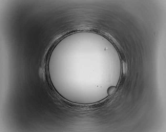 X0000100230675200805300725