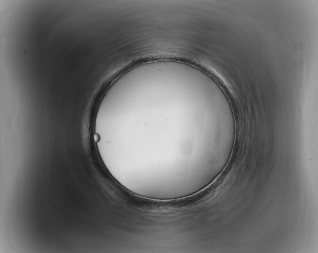 X0000100230677200805300725