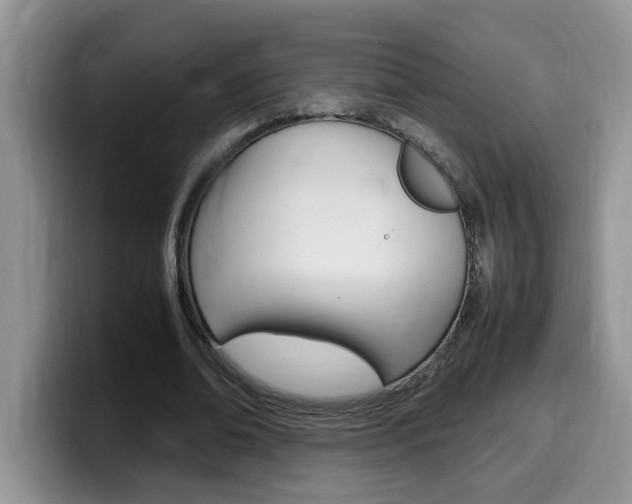 X0000100230678200805300725