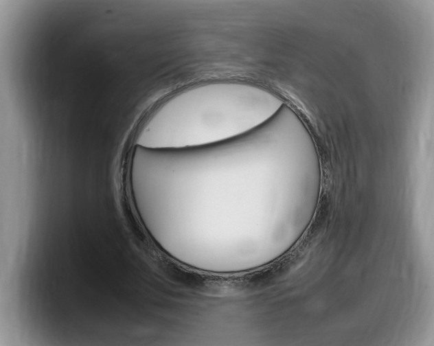 X0000100230679200805300725