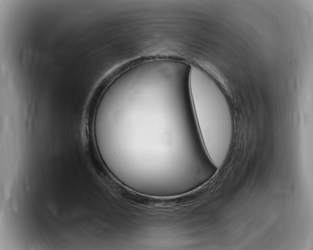X0000100230680200805300725
