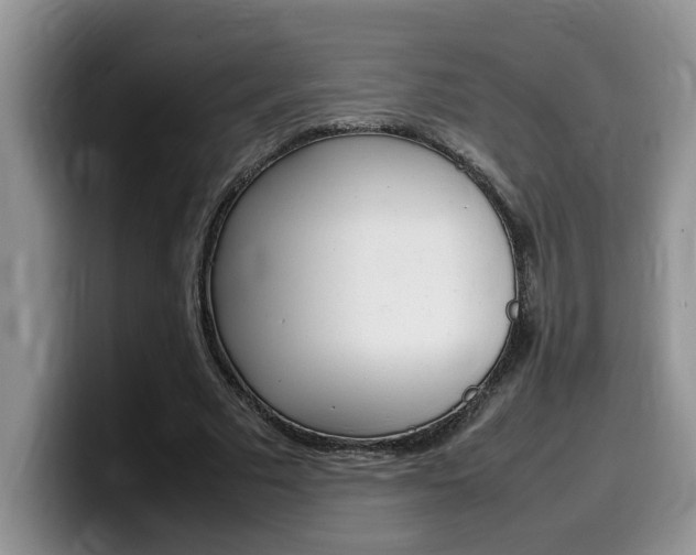 X0000100230681200805300725