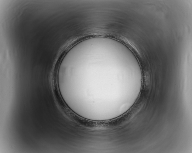 X0000100230682200805300725