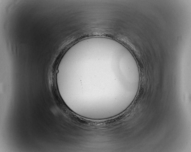X0000100230683200805300725