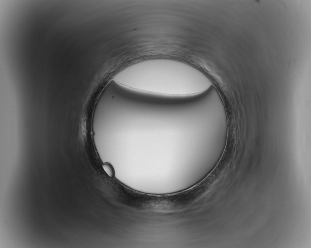 X0000100230685200805300725