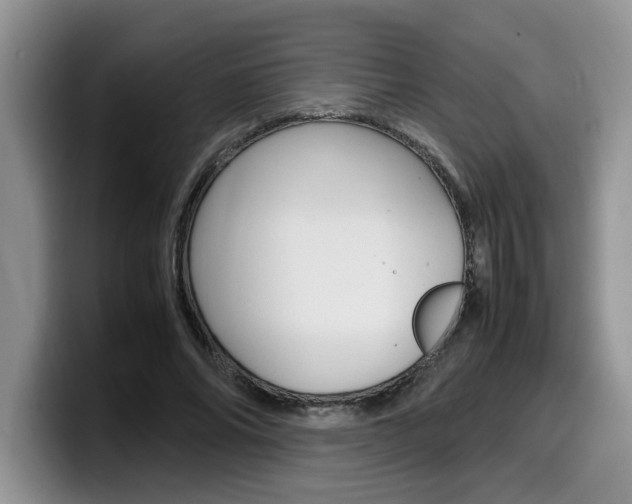 X0000100230686200805300725