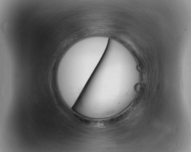 X0000100230687200805300725