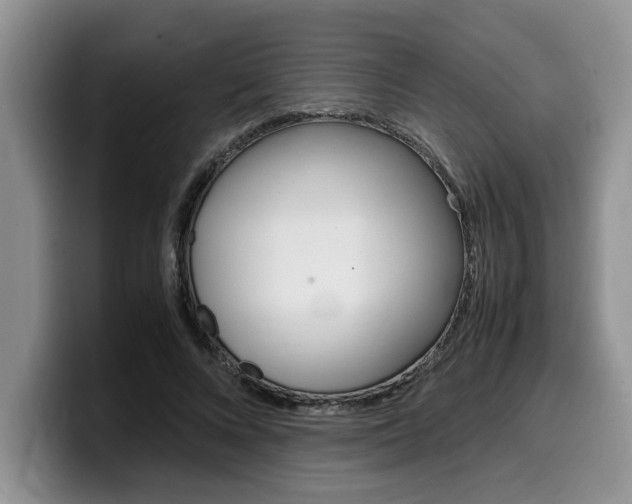 X0000100230688200805300725