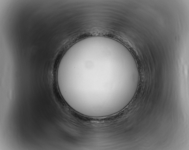 X0000100230690200805300725
