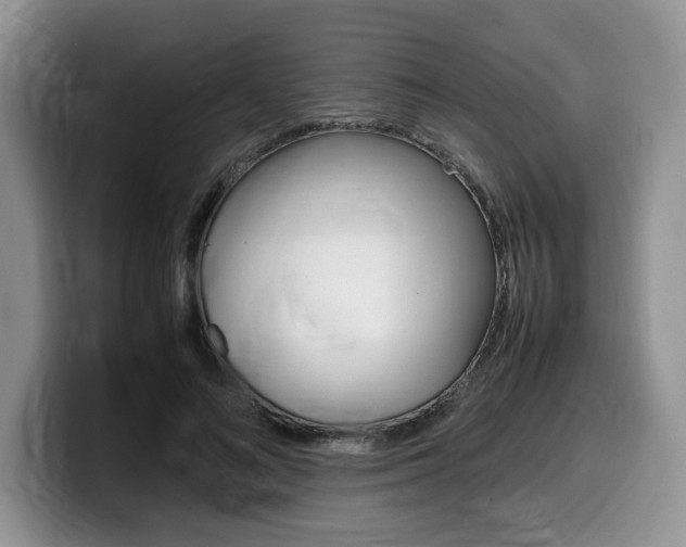 X0000100230692200805300725