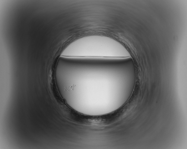 X0000100230693200805300725