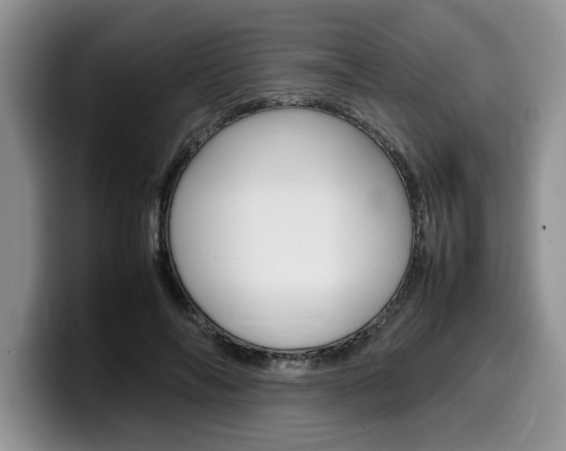 X0000100230694200805300725