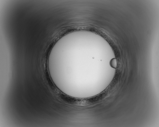 X0000100230695200805300725