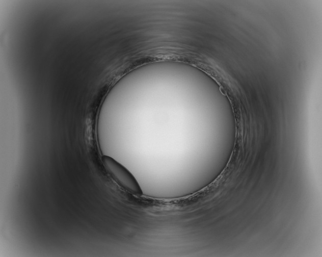 X0000100230696200805300725