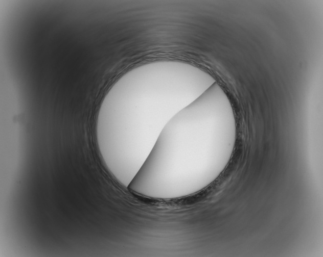 X0000100230697200805300725