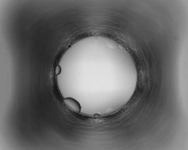 X0000100230698200805300725