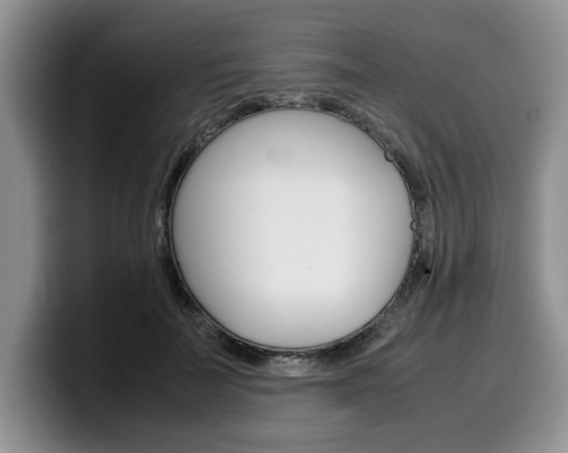 X0000100230699200805300725