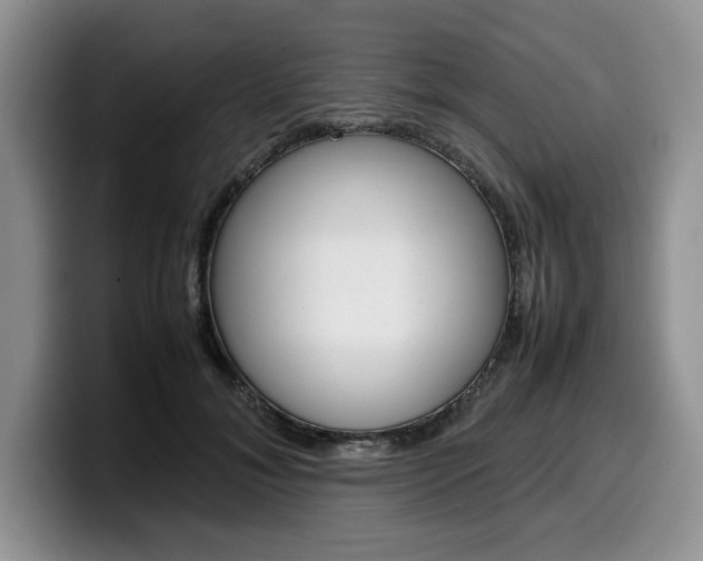 X0000100230700200805300725