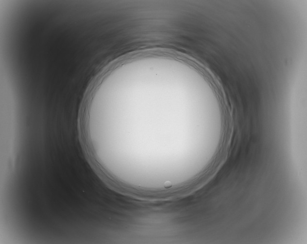 X0000100230701200805300725